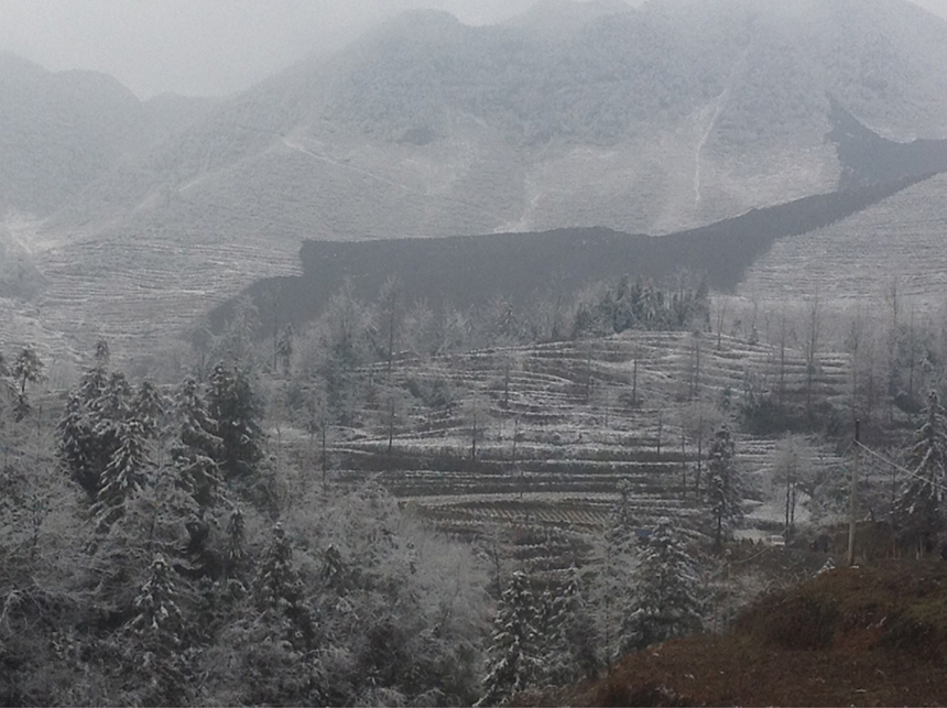 A landslide occurred around 8 am this morning, burying 16 households in Gaopo Village, Zhaotong City, Yunnan Province. So far, ten people have been found dead, CNTV reported. 